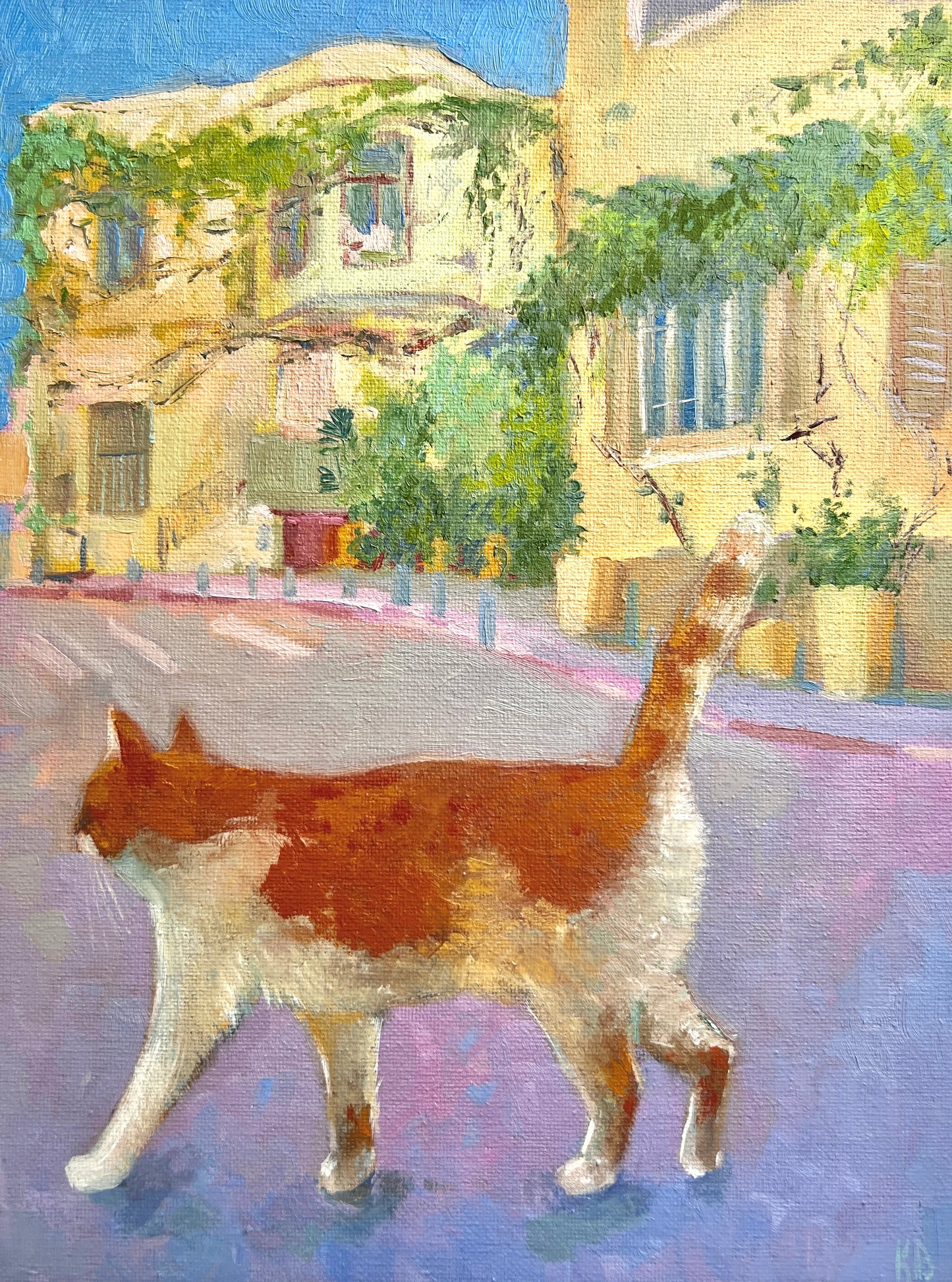 Neve Tsedek Cat