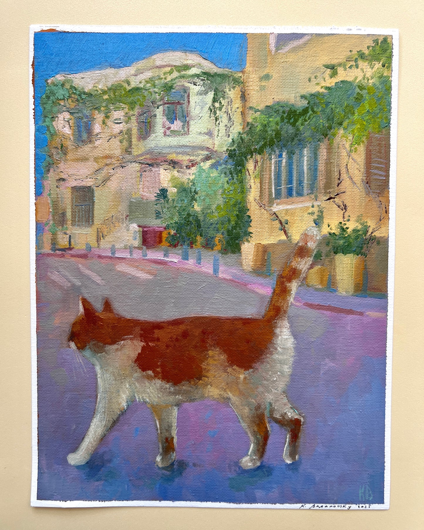 Neve Tsedek Cat