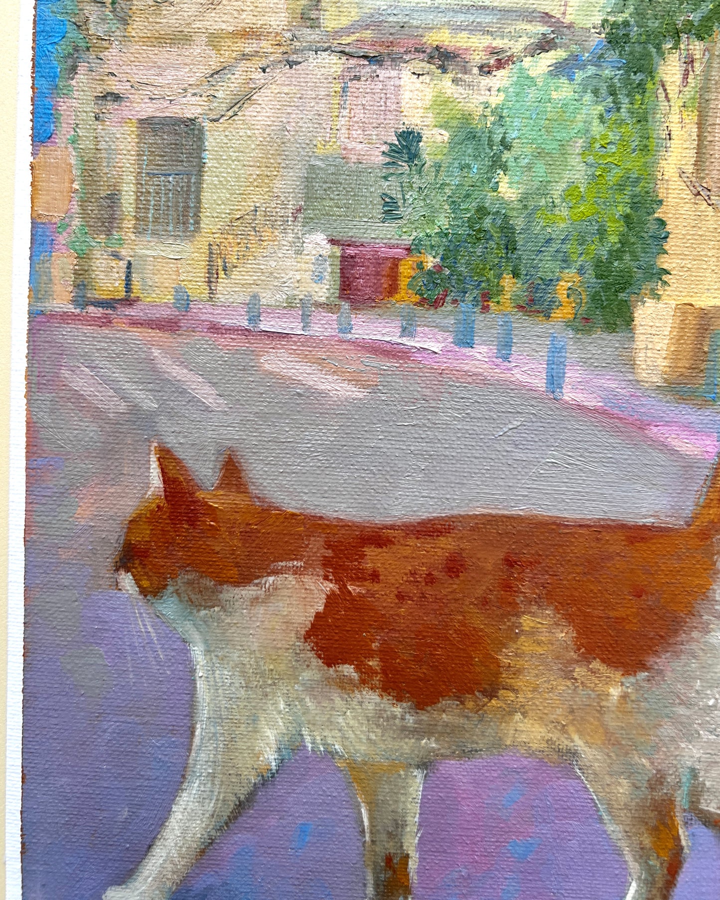Neve Tsedek Cat