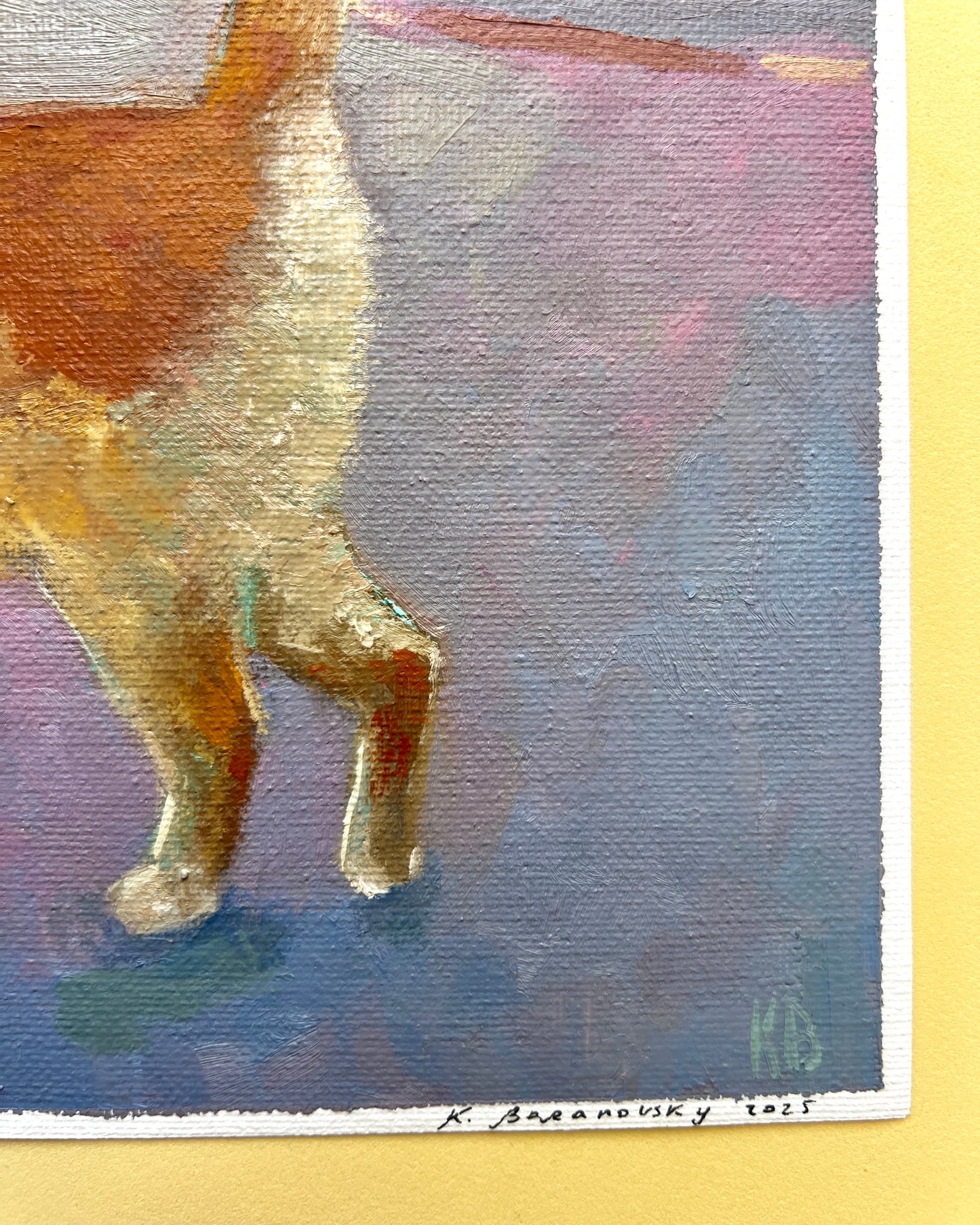 Neve Tsedek Cat